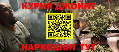 МДПВ Моздок
