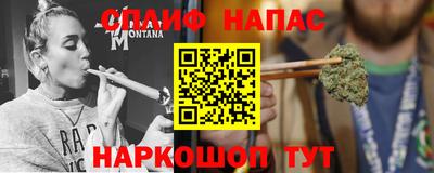МДПВ Моздок