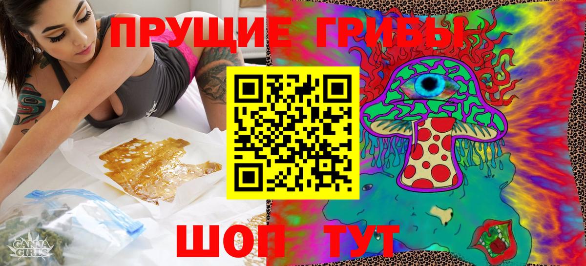 Псилоцибиновые грибы мицелий Томск